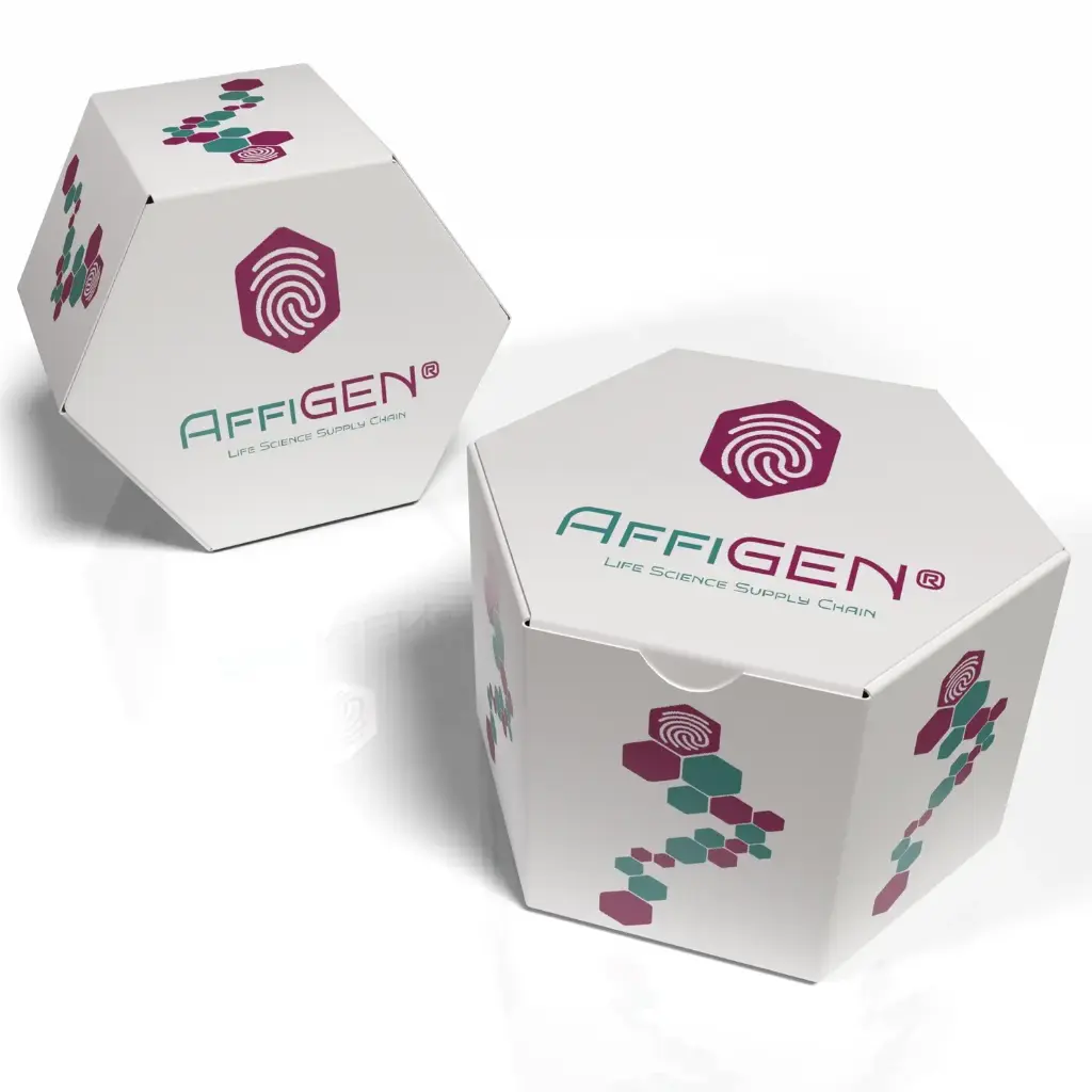 AffiGEN® IKVAV peptide : H‑IKVAVGKKG-[K(N3)]‑OH, Purity >95% , TFA salt , 10 AA